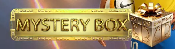Mystery Box