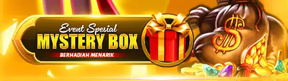 Mystery Box